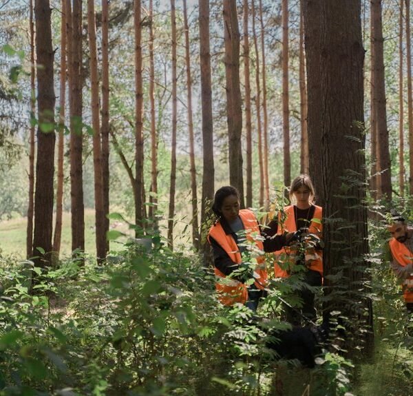 search visibility and linking